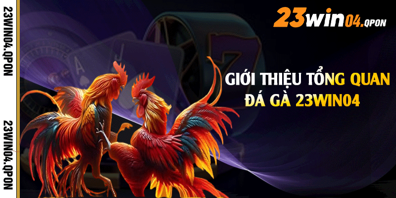 Giới thiệu tổng quan đá gà 23win04
